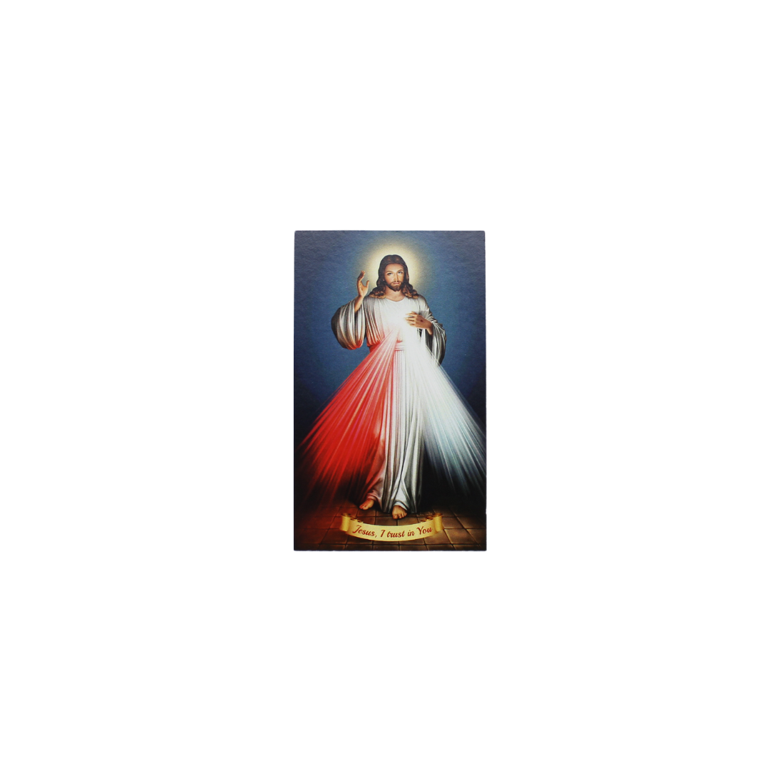 Divine Mercy Devotional Travel Gift Set