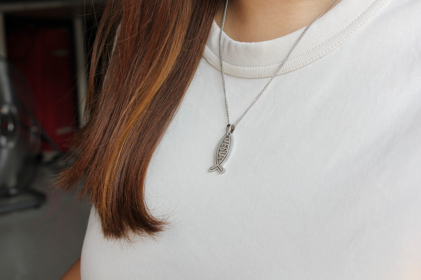 Stainless Steel "Jesus" Fish Pendant/Chain set - 2.5/4cm