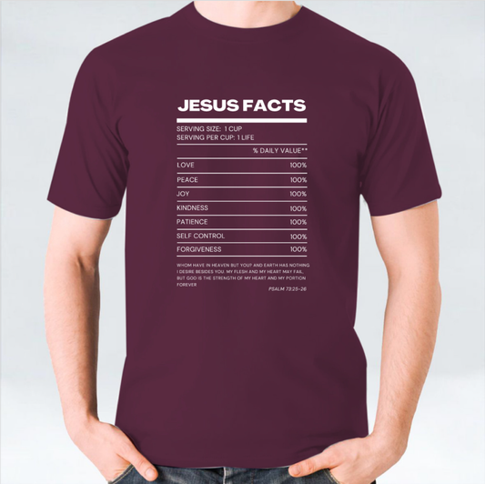 Jesus Facts Unisex T-shirt - White/Black/Maroon