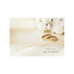 Wedding Mass Book Covers  - White Roses